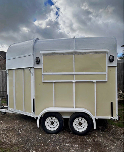 Stunning newly converted horse - newly,